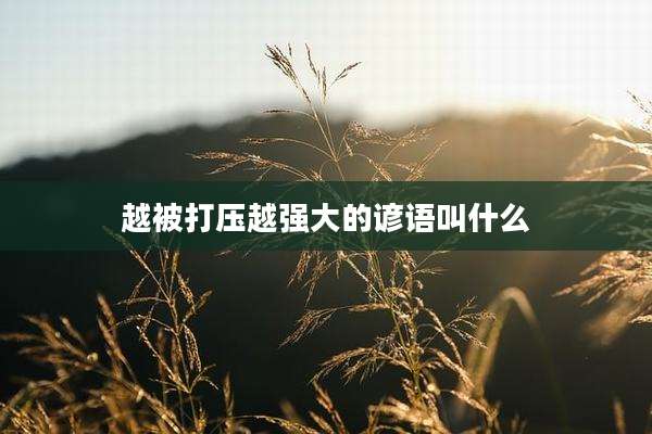 越被打压越强大的谚语叫什么