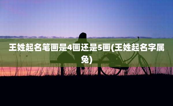 王姓起名笔画是4画还是5画(王姓起名字属兔)