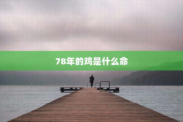 78年的鸡是什么命