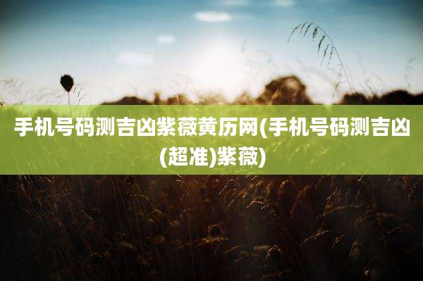 手机号码测吉凶紫薇黄历网(手机号码测吉凶(超准)紫薇)