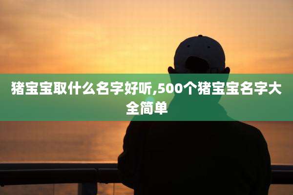猪宝宝取什么名字好听,500个猪宝宝名字大全简单