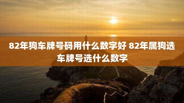 82年狗车牌号码用什么数字好 82年属狗选车牌号选什么数字
