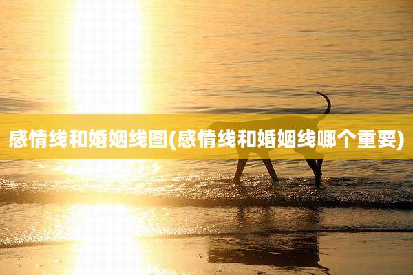 感情线和婚姻线图(感情线和婚姻线哪个重要)