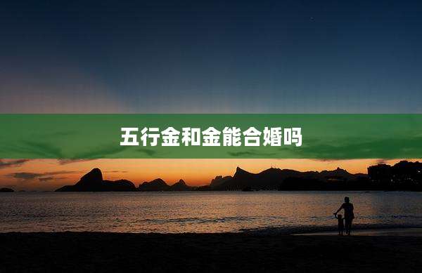 五行金和金能合婚吗
