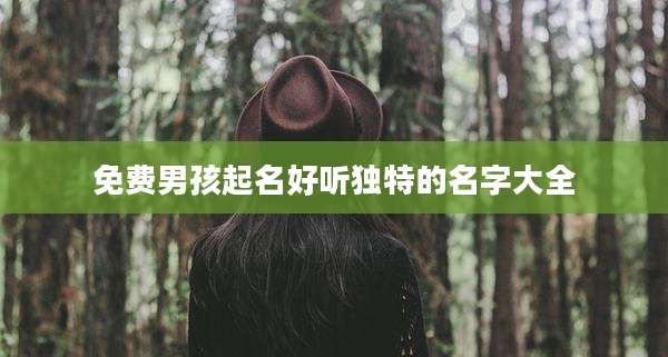 免费男孩起名好听独特的名字大全