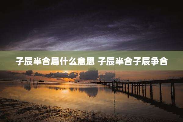 子辰半合局什么意思 子辰半合子辰争合