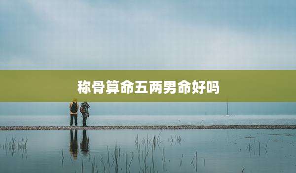 称骨算命五两男命好吗
