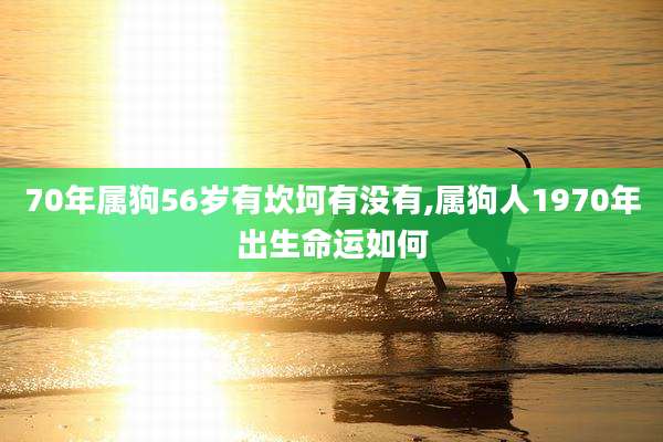70年属狗56岁有坎坷有没有,属狗人1970年出生命运如何