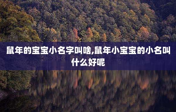 鼠年的宝宝小名字叫啥,鼠年小宝宝的小名叫什么好呢
