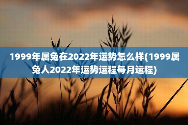 1999年属兔在2022年运势怎么样(1999属兔人2022年运势运程每月运程)