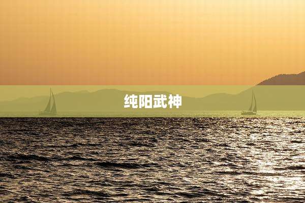 纯阳武神