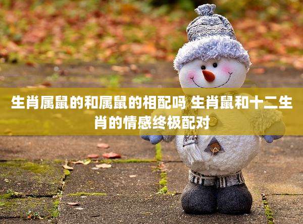 生肖属鼠的和属鼠的相配吗 生肖鼠和十二生肖的情感终极配对