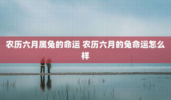农历六月属兔的命运 农历六月的兔命运怎么样