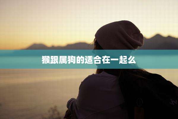 猴跟属狗的适合在一起么