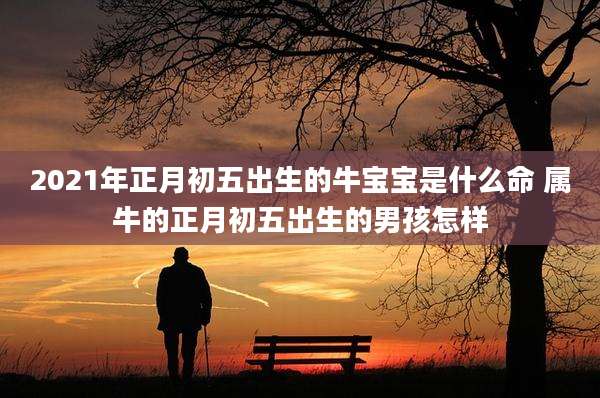 2021年正月初五出生的牛宝宝是什么命 属牛的正月初五出生的男孩怎样