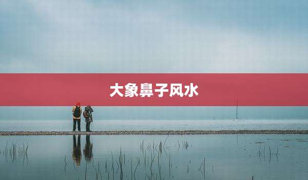 大象鼻子风水