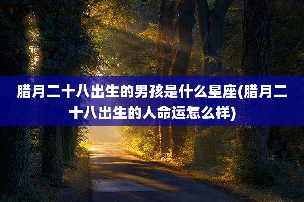 腊月二十八出生的男孩是什么星座(腊月二十八出生的人命运怎么样)