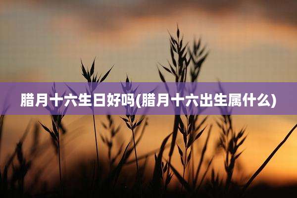 腊月十六生日好吗(腊月十六出生属什么)