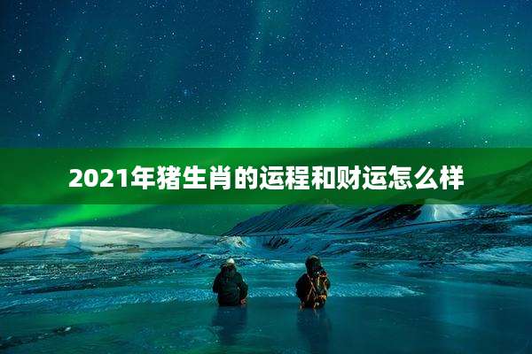 2021年猪生肖的运程和财运怎么样