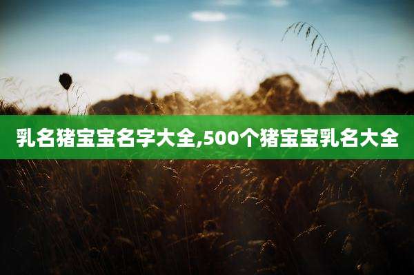 乳名猪宝宝名字大全,500个猪宝宝乳名大全