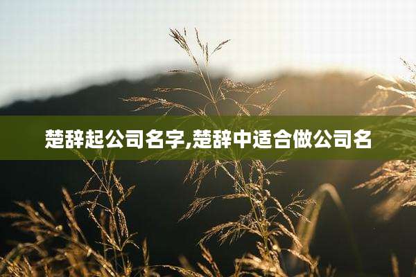 楚辞起公司名字,楚辞中适合做公司名