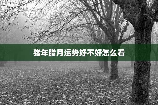 猪年腊月运势好不好怎么看