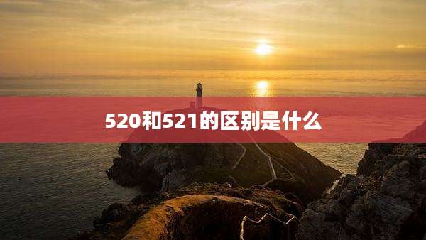 520和521的区别是什么
