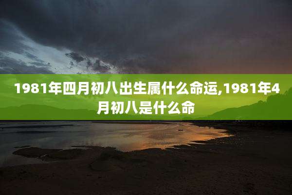 1981年四月初八出生属什么命运,1981年4月初八是什么命