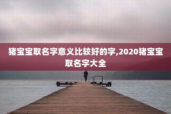 猪宝宝取名字意义比较好的字,2020猪宝宝取名字大全
