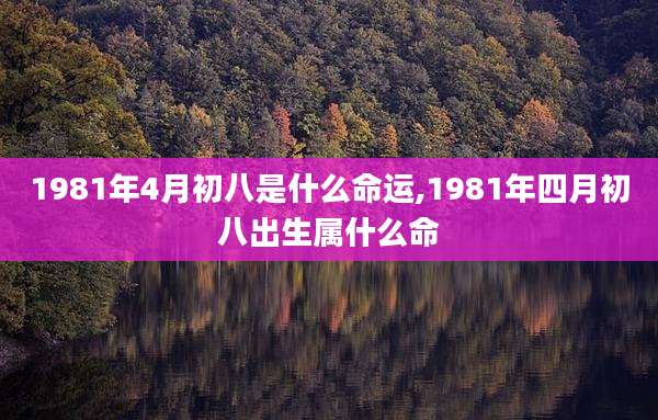 1981年4月初八是什么命运,1981年四月初八出生属什么命