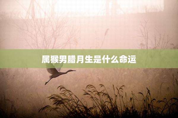 属猴男腊月生是什么命运