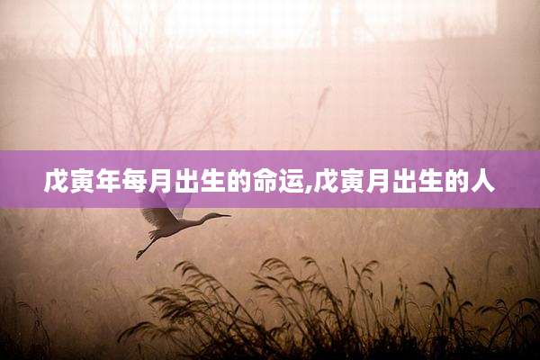 戊寅年每月出生的命运,戊寅月出生的人