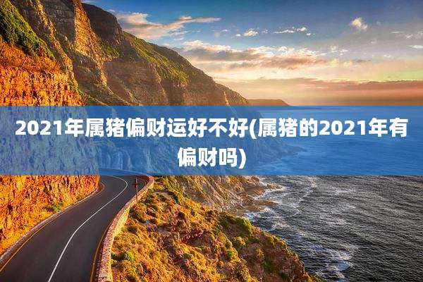 2021年属猪偏财运好不好(属猪的2021年有偏财吗)