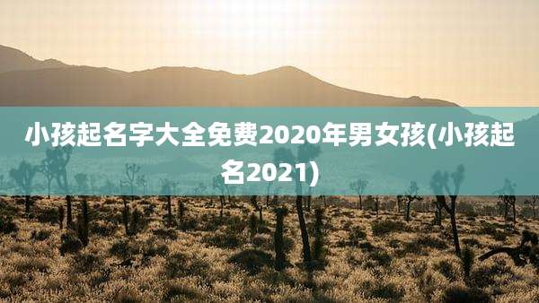 小孩起名字大全免费2020年男女孩(小孩起名2021)
