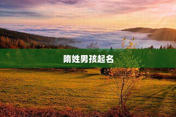 隋姓男孩起名