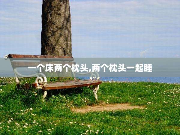 一个床两个枕头,两个枕头一起睡