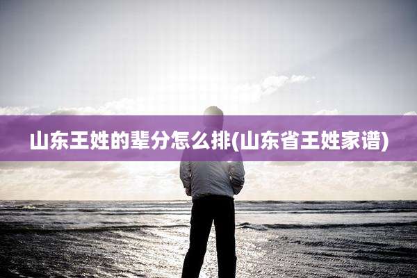 山东王姓的辈分怎么排(山东省王姓家谱)