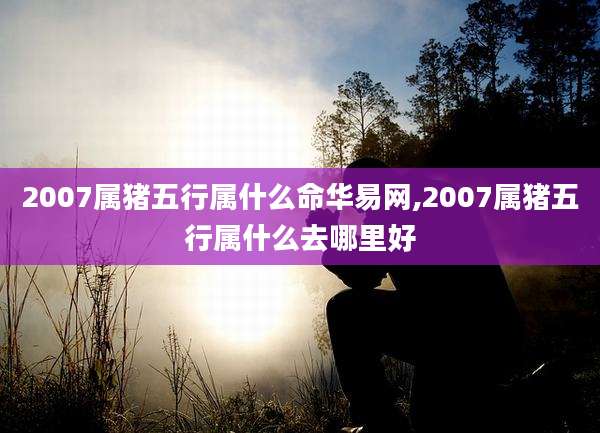 2007属猪五行属什么命华易网,2007属猪五行属什么去哪里好