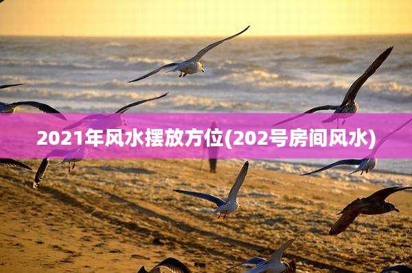 2021年风水摆放方位(202号房间风水)