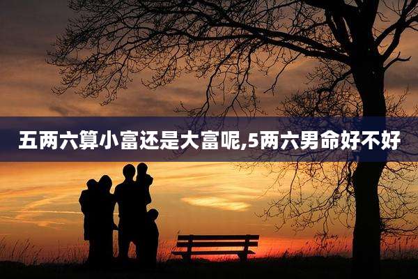 五两六算小富还是大富呢,5两六男命好不好