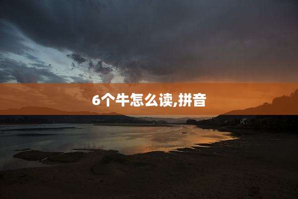 6个牛怎么读,拼音