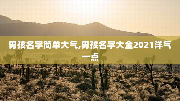 男孩名字简单大气,男孩名字大全2021洋气一点