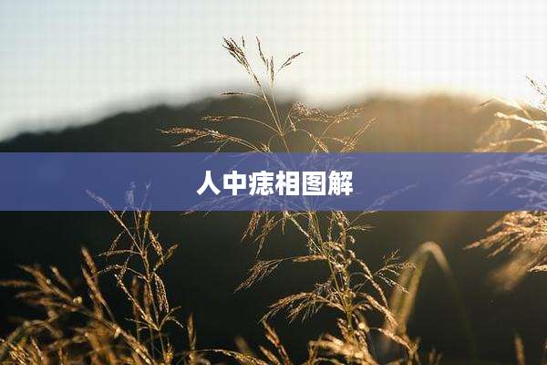 人中痣相图解