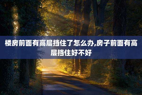 楼房前面有高层挡住了怎么办,房子前面有高层挡住好不好