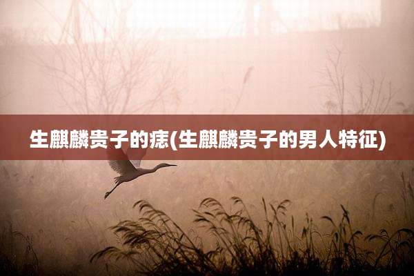 生麒麟贵子的痣(生麒麟贵子的男人特征)