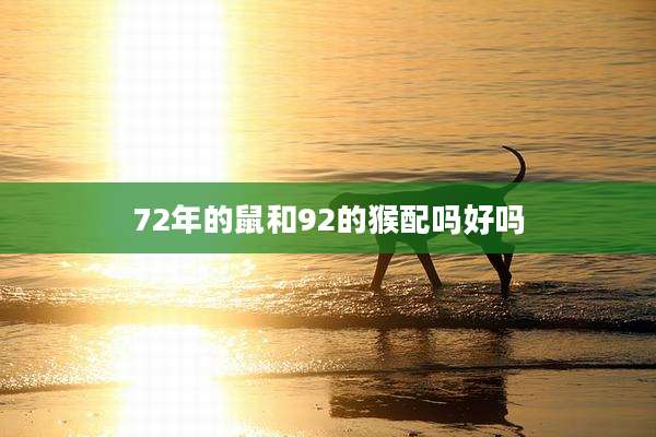 72年的鼠和92的猴配吗好吗