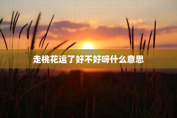 走桃花运了好不好呀什么意思