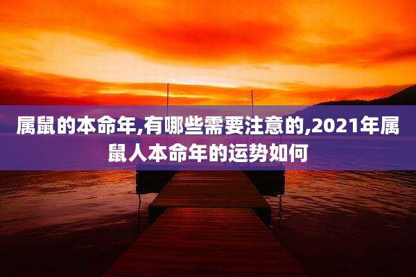 属鼠的本命年,有哪些需要注意的,2021年属鼠人本命年的运势如何