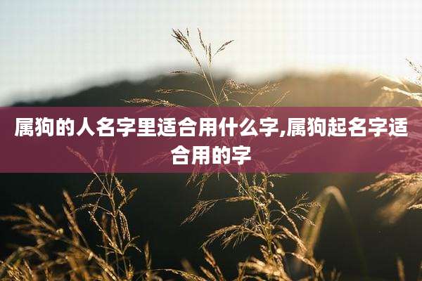 属狗的人名字里适合用什么字,属狗起名字适合用的字