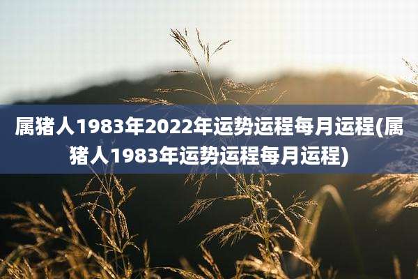 属猪人1983年2022年运势运程每月运程(属猪人1983年运势运程每月运程)